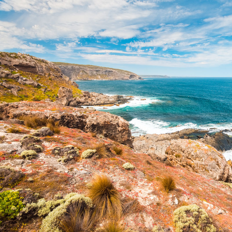 Küste auf Kangaroo Island